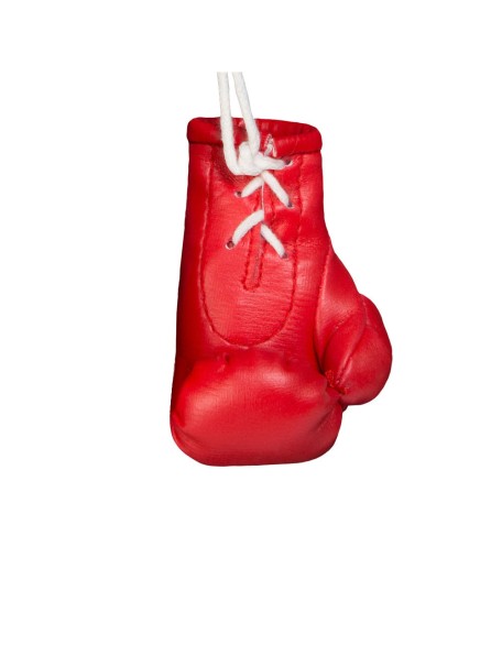 Mini Boxing Gloves